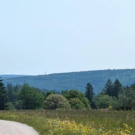 Waldhorn Apartment *