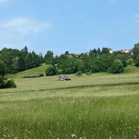 Apartment Waldhorn Dobel
