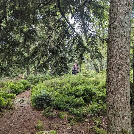 Waldhorn Сasa de vacaciones *