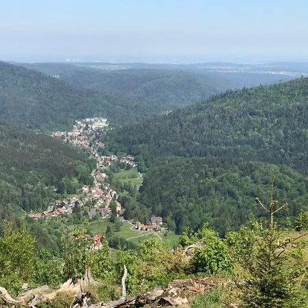 Waldhorn Dobel