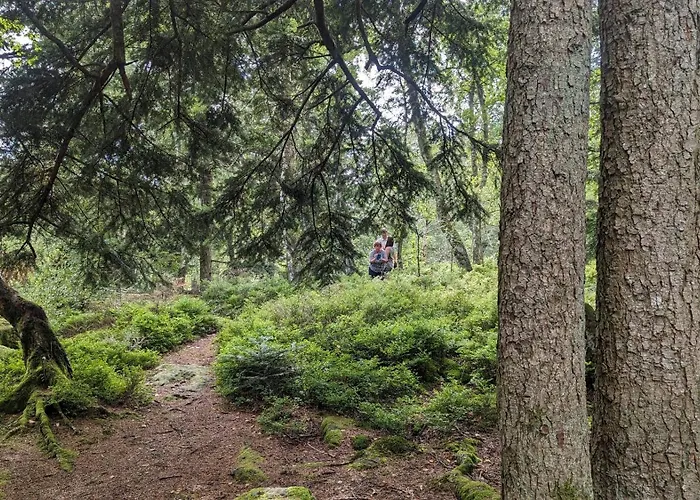 Waldhorn Casa de Férias *