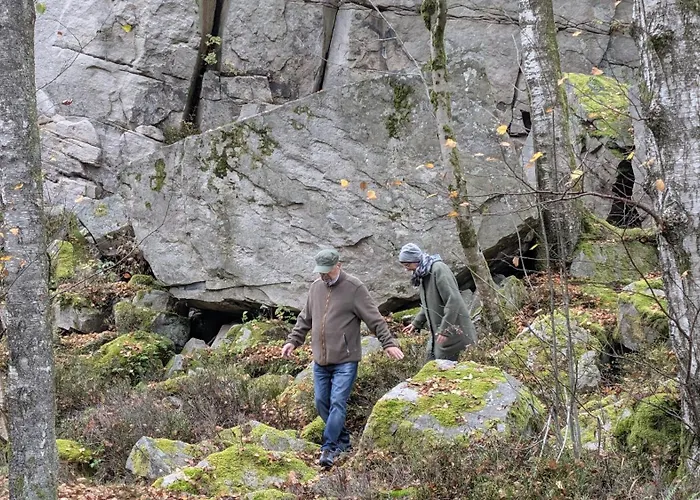 Waldhorn Casa de Férias Dobel