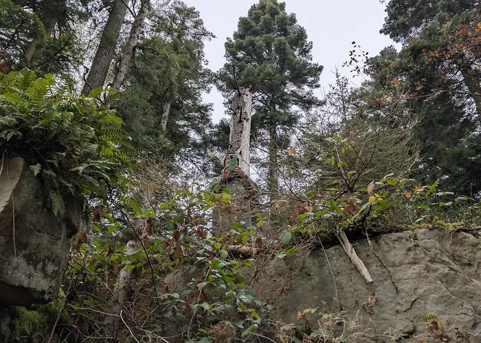 Casa de Férias Waldhorn Dobel